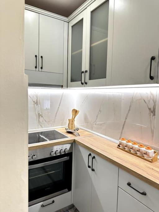 Apartment Great Near & Blloku Area *